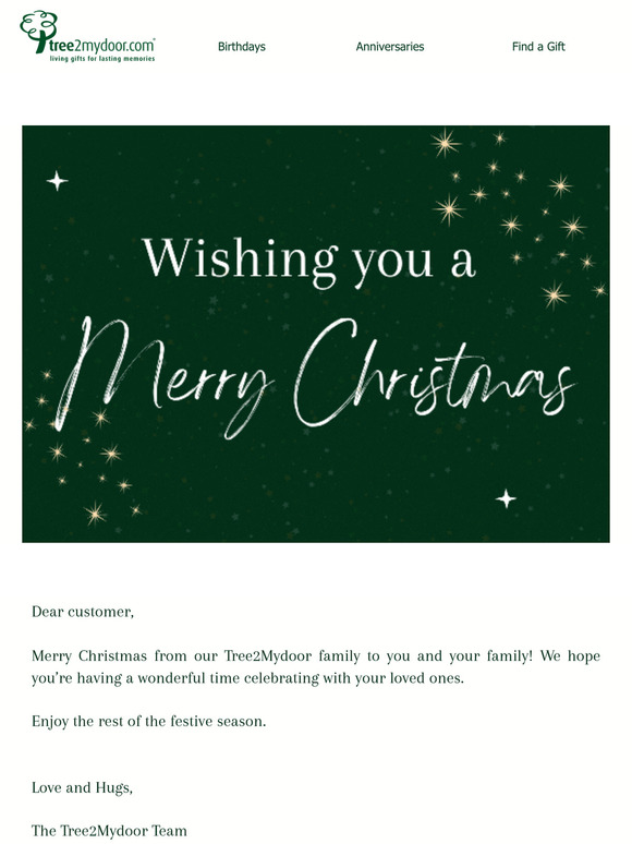 Wishing you a Merry Christmas! 🎄