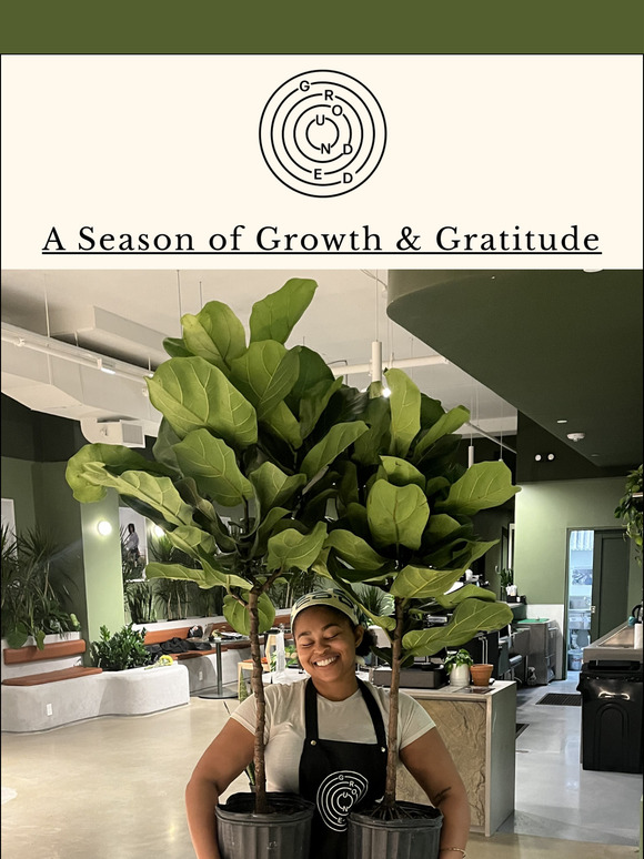 A Season of Growth and Gratitude