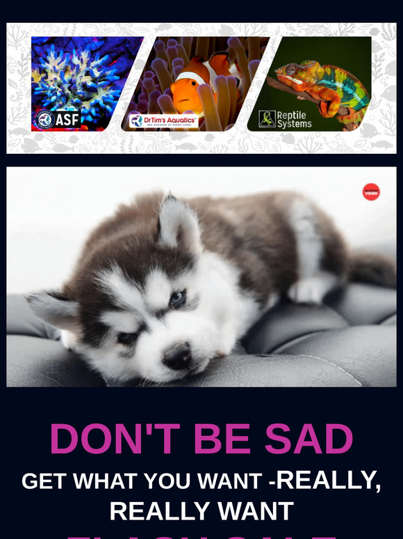 After Christmas sale | 40% off