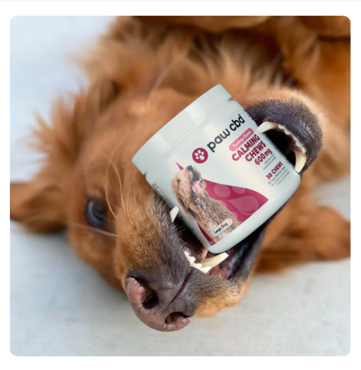 CALMING CHEWS
