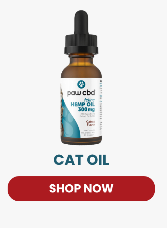 CAT OIL