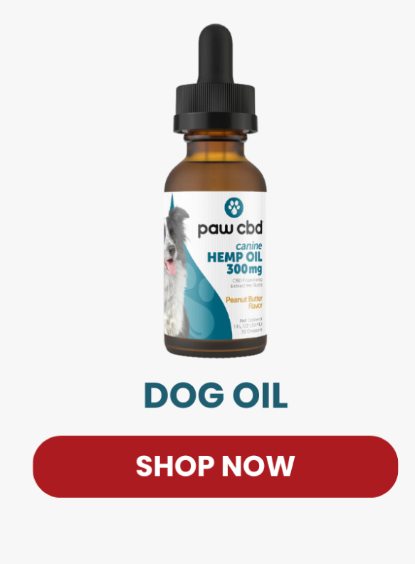 DOG OIL