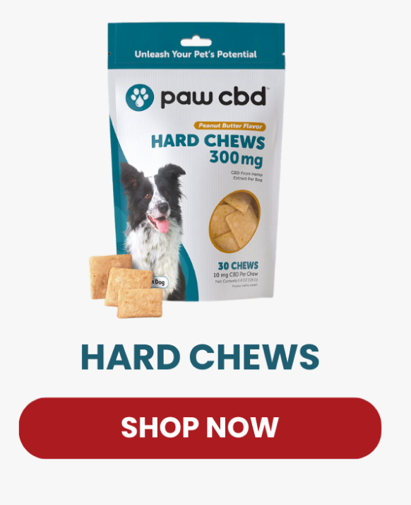 HARD CHEWS