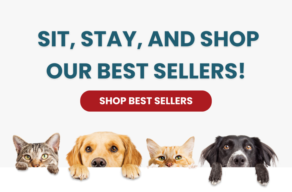 SIT, STAY AND SHOP OUR BEST SELLERS