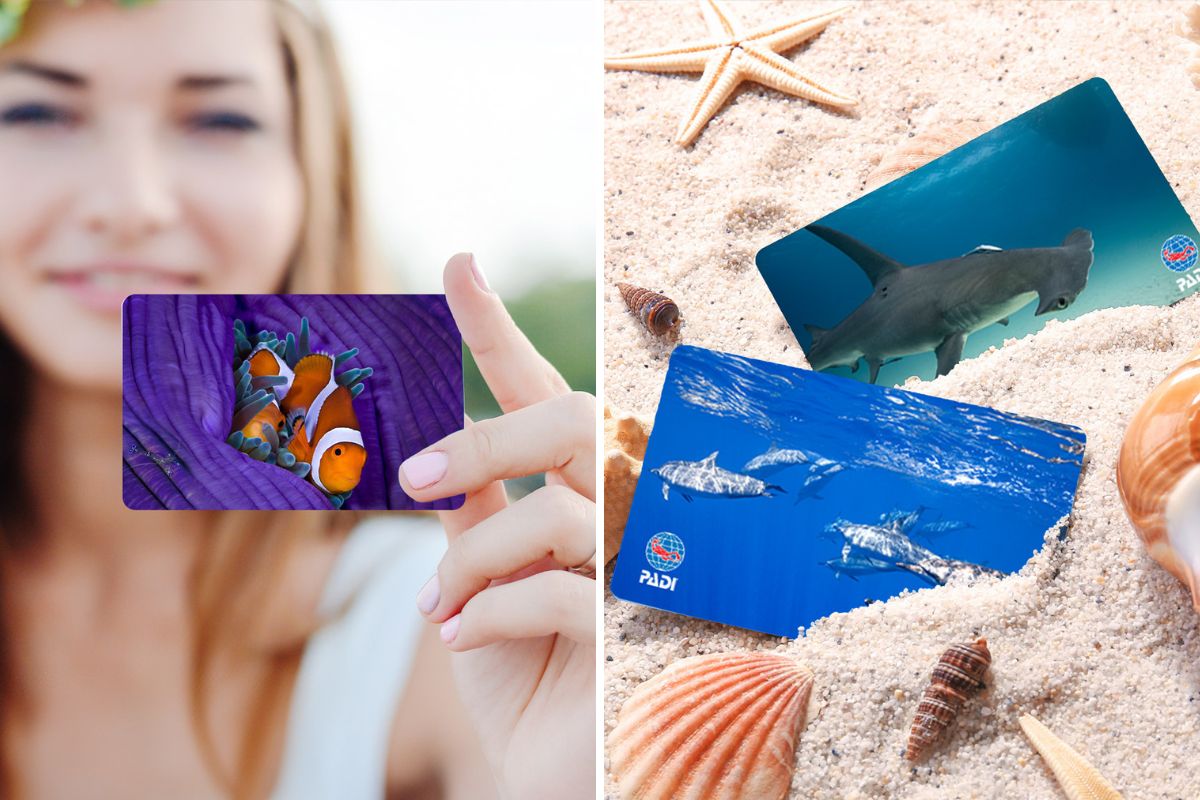 Which PADI Card Has Your Name on It?