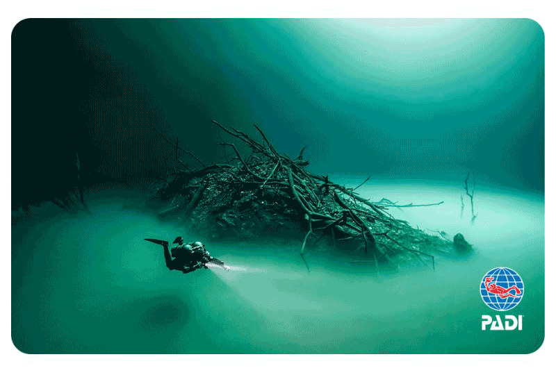 NEW DESIGN-Total Immersion by Tom St. George