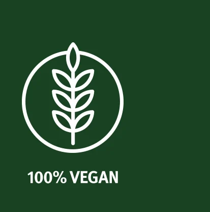 100% Vegan