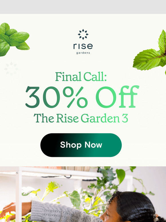 Final Days of the Holiday Sale! 🎁🌱