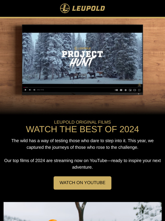 Must-Watch Films from 2024