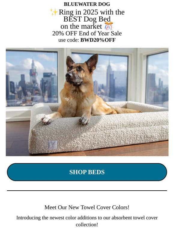 New Year, New Forever Bed - 20% OFF End of Year Sale 📣