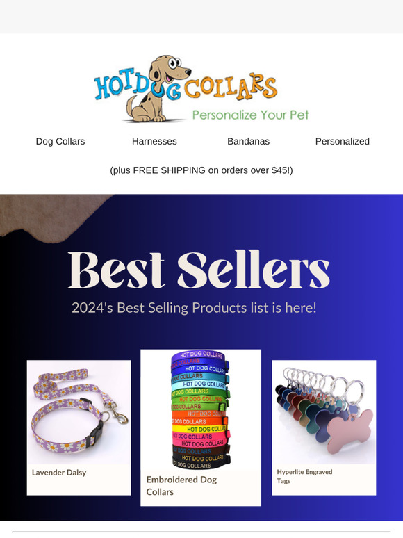 Best Sellers of 2024 List - Did your favorite make the list?