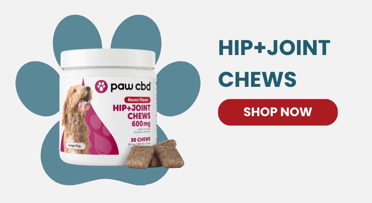 HIP+JOINT CHEWS