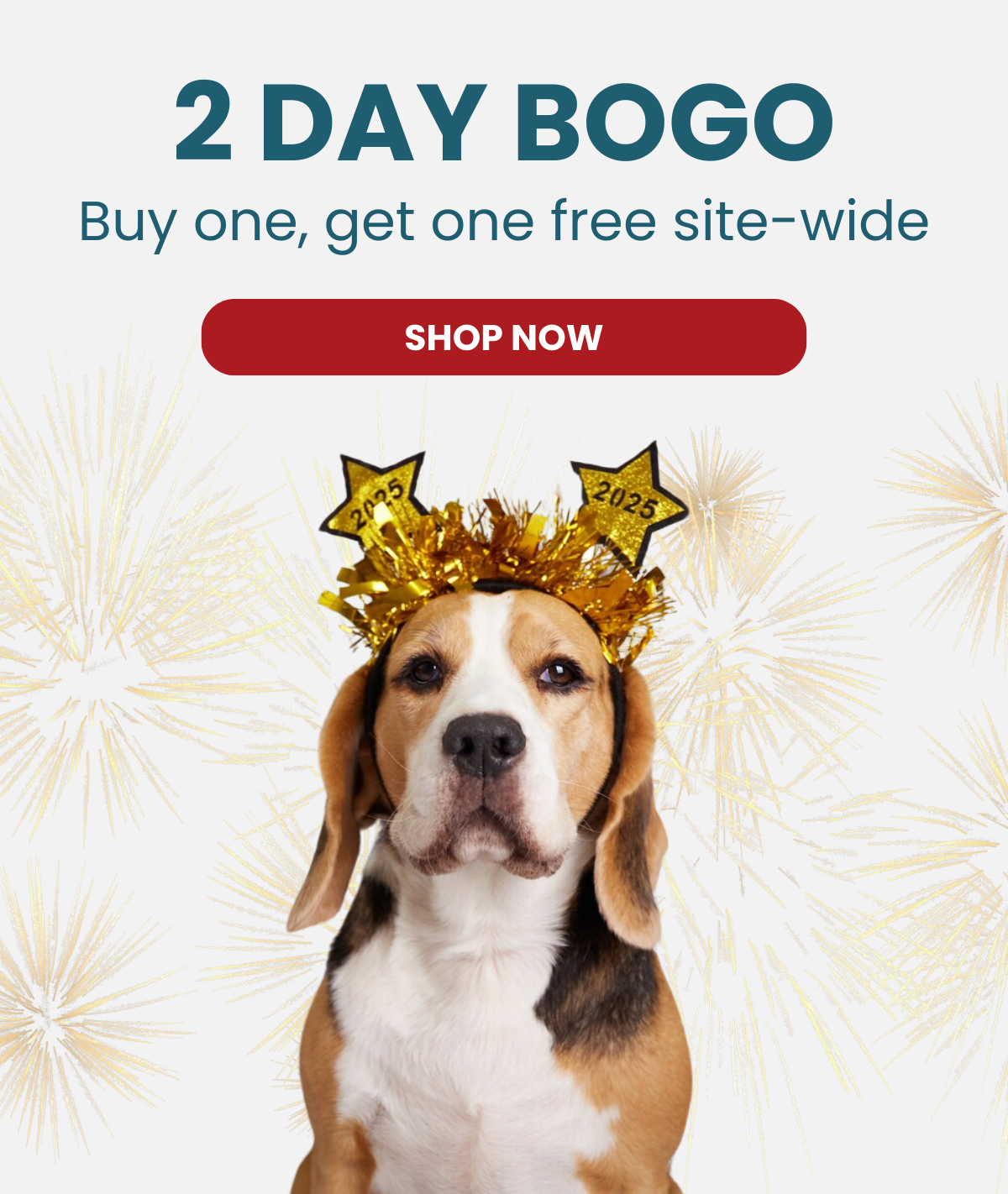 2 DAY BOGO