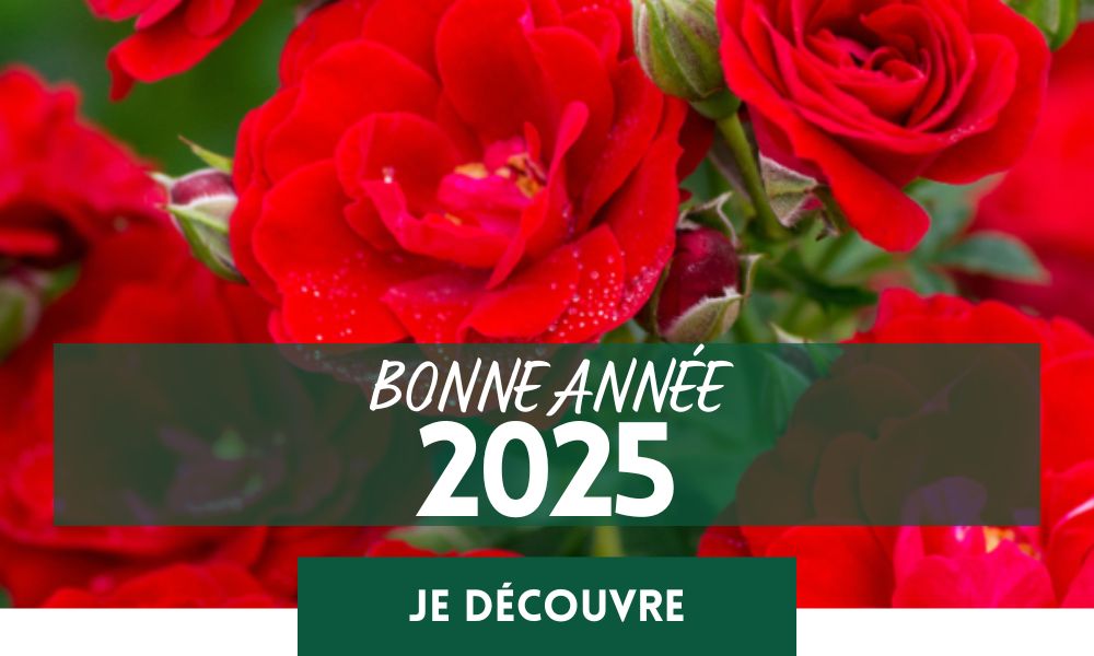 Bonne année 2025 !