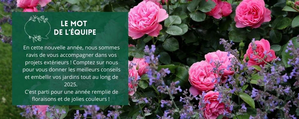 Le mot de l'équipe