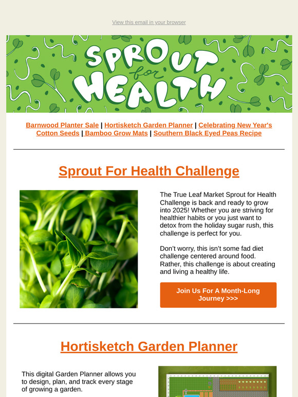 🎉 Sow Your Resolutions: Start the Year With Healthy Greens | TLM Newsletter