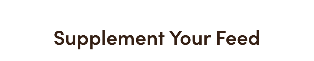 Supplement Your Feed