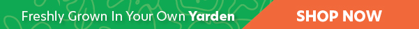 Freshly Grown In Your Own Garden | Shop Now