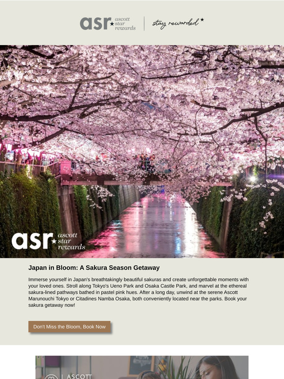 Japan in Bloom: A Sakura Season Getaway