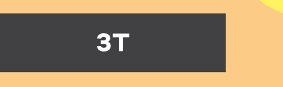 3T