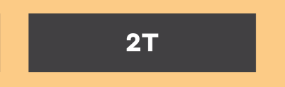2T