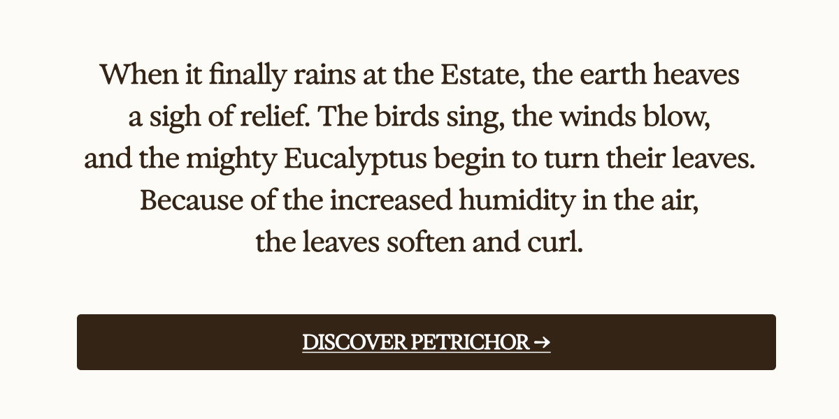 Discover Petrhicor