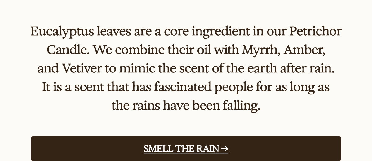 Smell The Rain