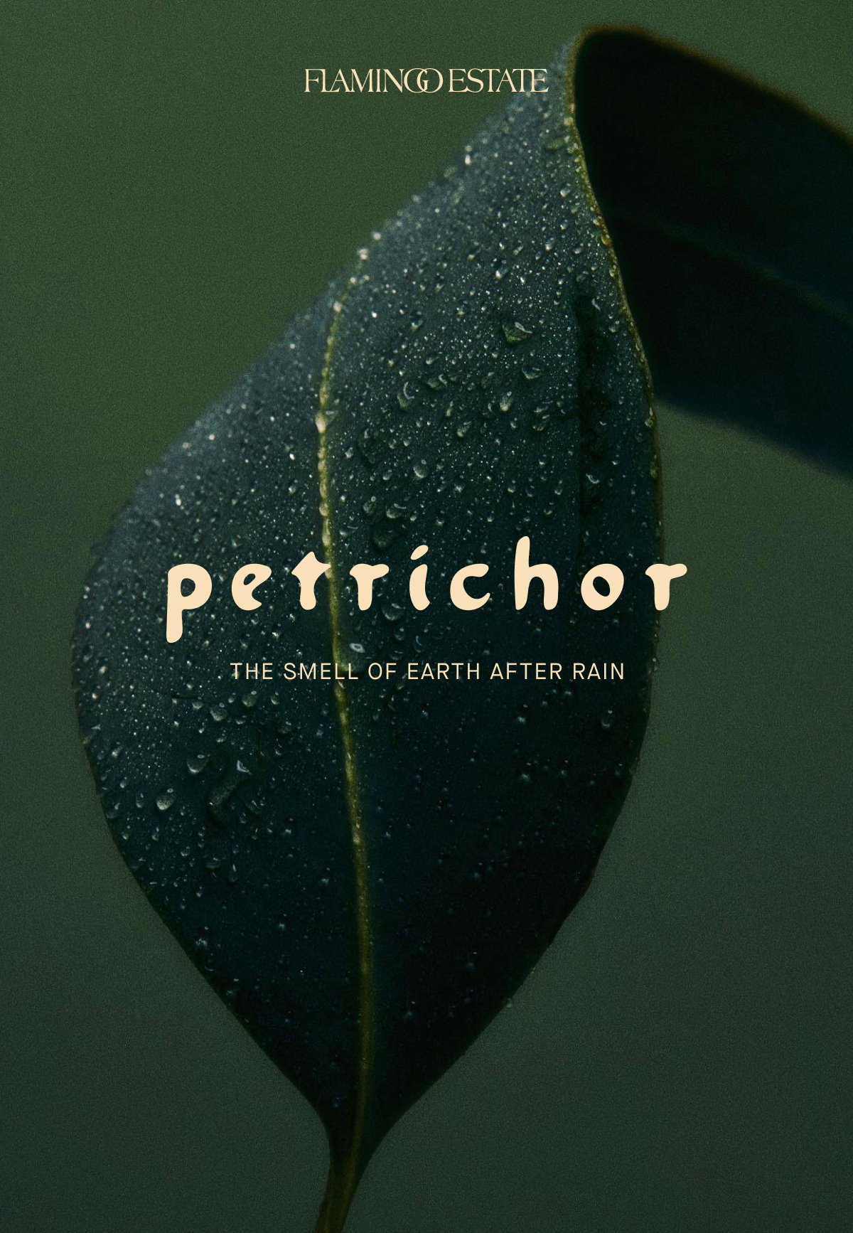 Petrichor Candle