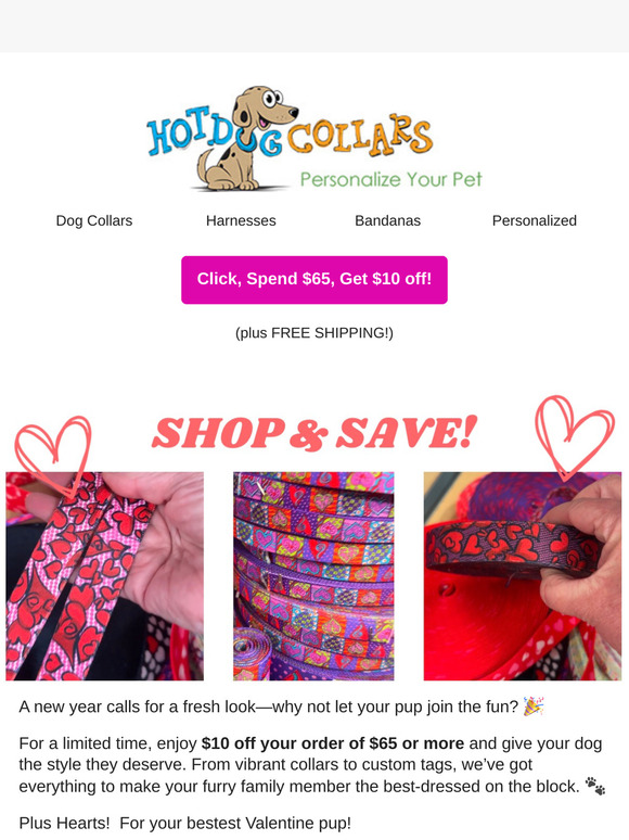 New Year, New Style: Save 💵 on Custom Collars!