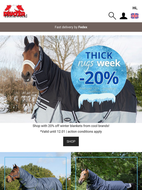 -20% Heavy rugs week ✨