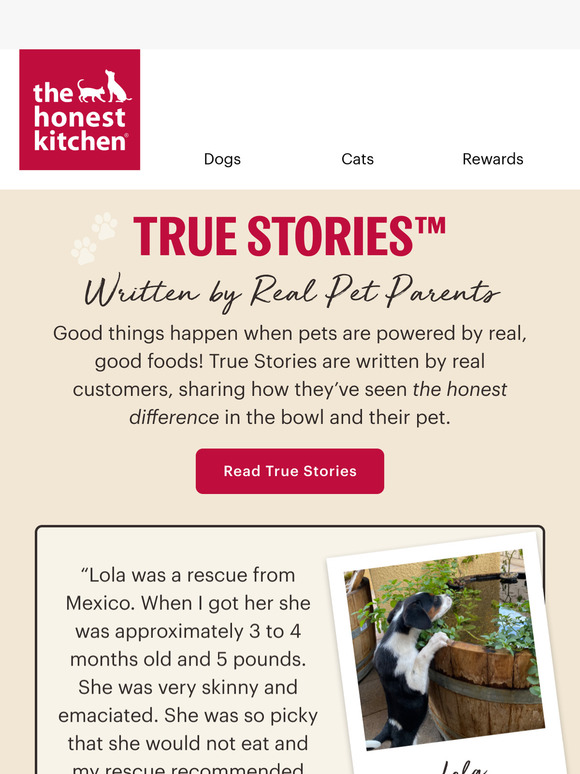 True Stories from Real Pet Parents