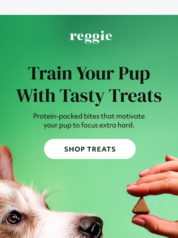 Train Smarter With Protein-Packed Treats