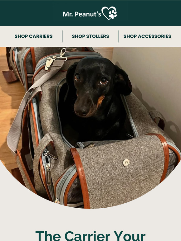 15% OFF the Safest, Coziest Pet Carriers