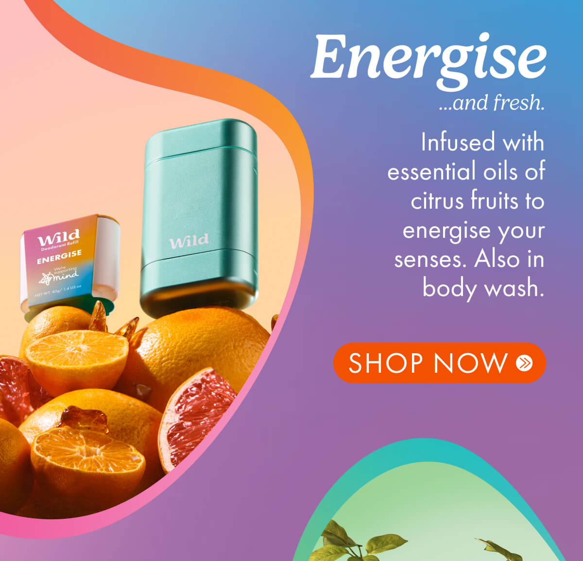 energise 