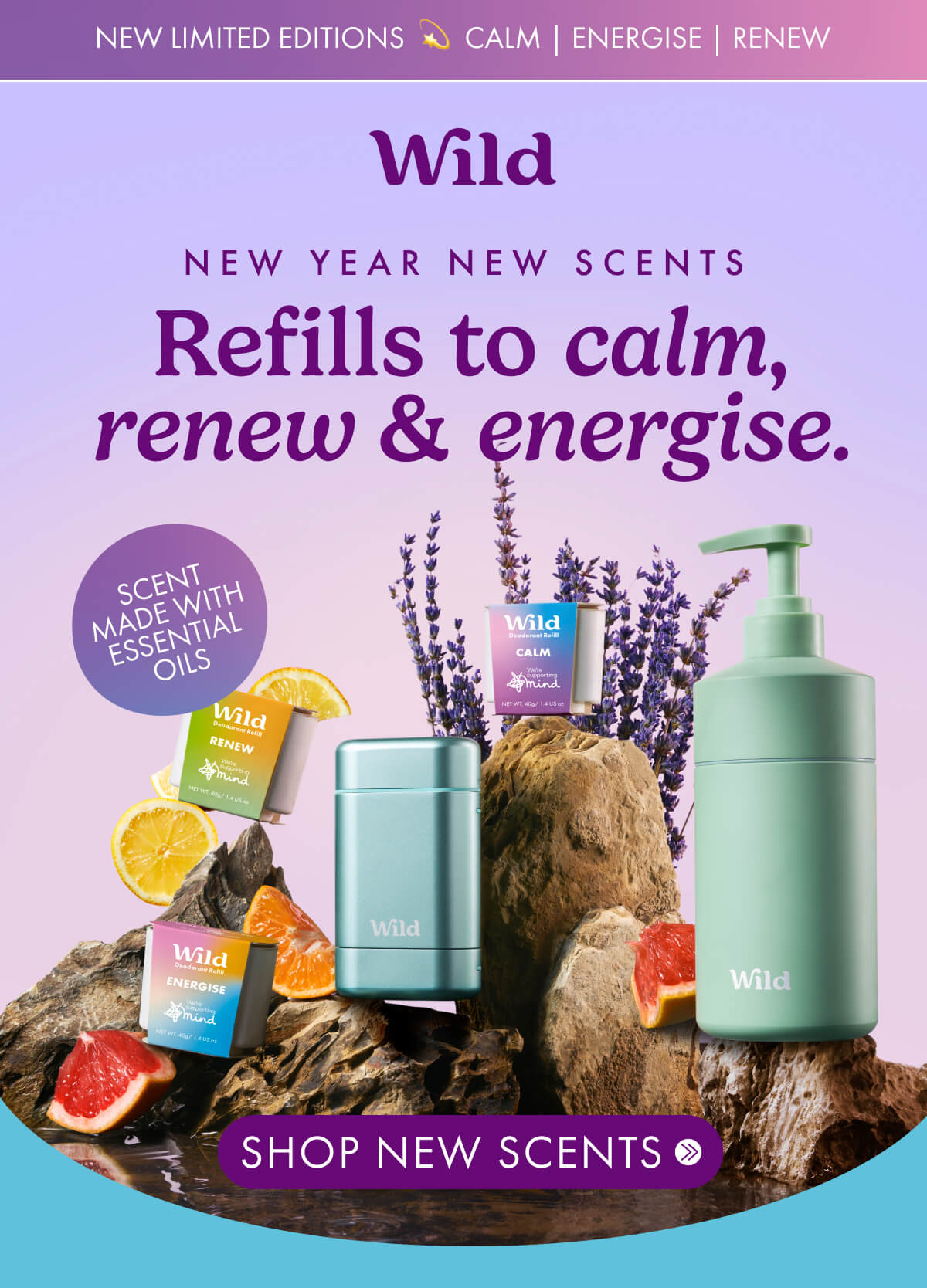 calm, renew, energise 