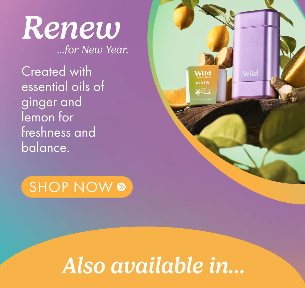 renew