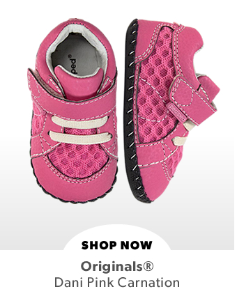 Shop Dani Pink Carnation