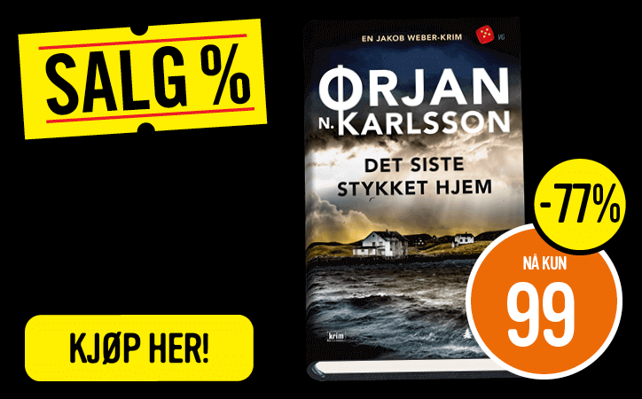 Det siste stykket hjem - kriminalroman