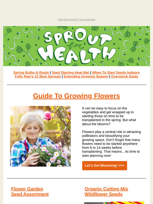 🌸 Don’t Forget the Blooms! Plan For Flowers Now | TLM Newsletter