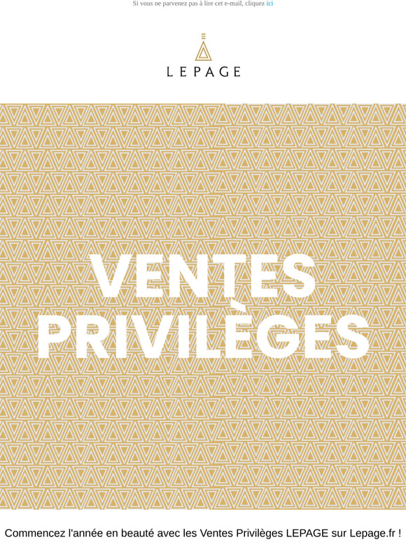 ✨ VENTES PRIVILEGES : c'est parti ! ✨