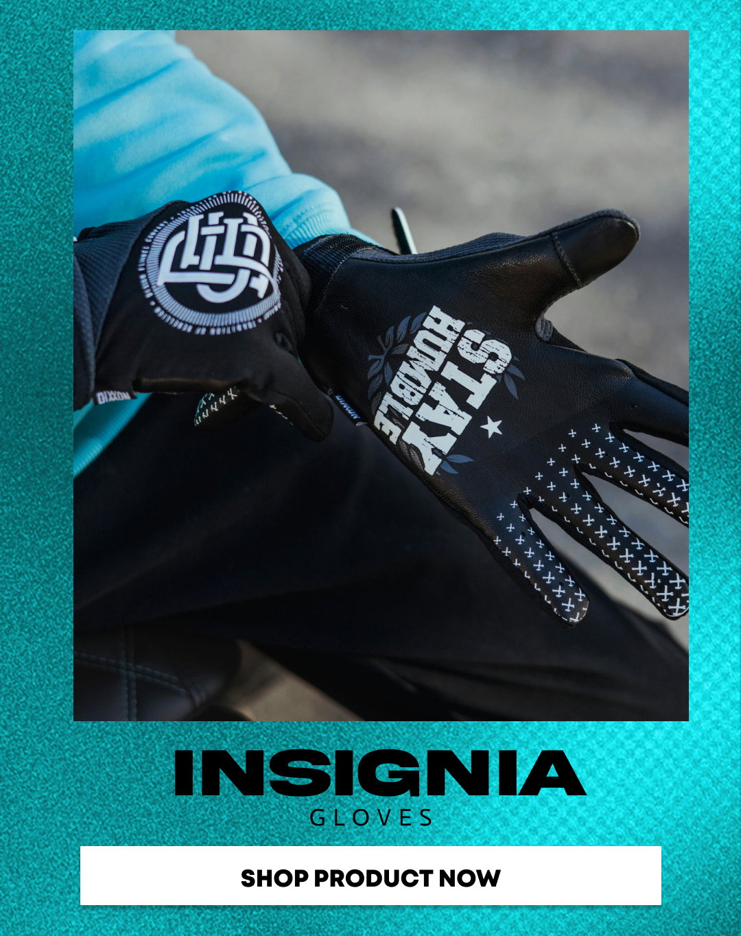 Insignia Moto Gloves