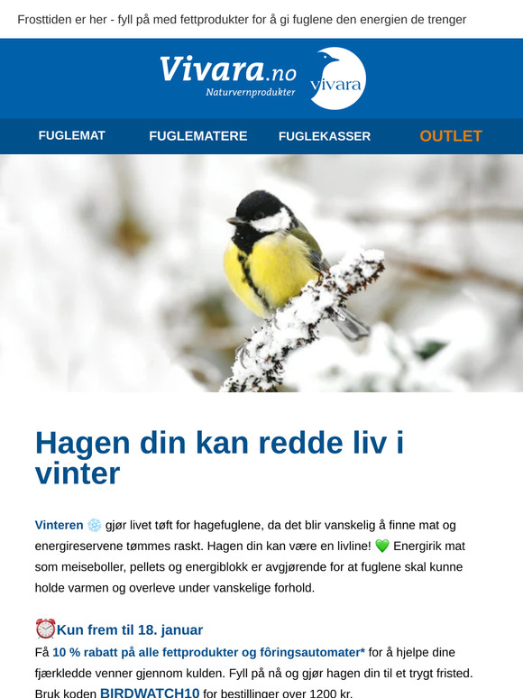 Hjelp fuglene med å overleve kuldebølgen! ❄️