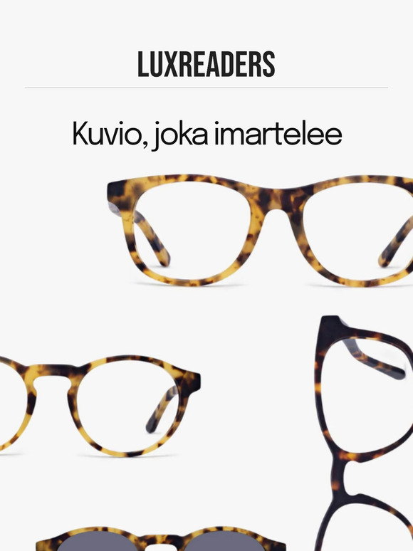 Miksi rakastamme Turtlea 🤎