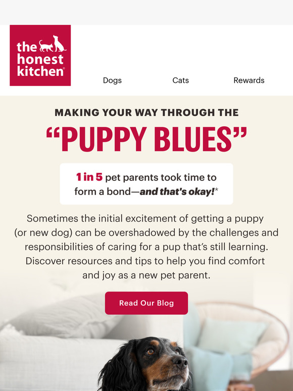 Puppy Blues Got You Down? 🐶 Let’s Talk Tips & Support