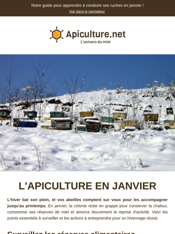 ❄️ Que faire pour vos ruches en Janvier ?
