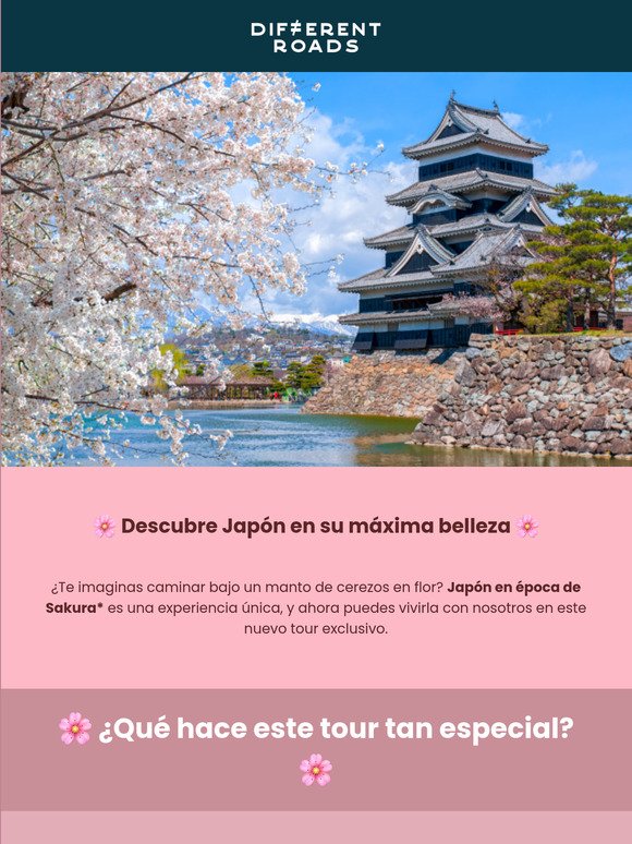 🌸🍒 Tu viaje a Sakura, el Japón de los cerezos