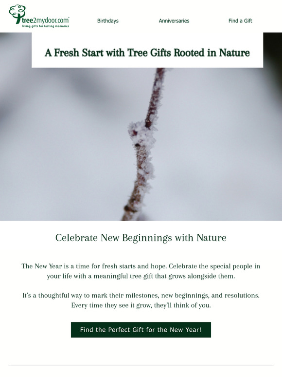 Looking for the Perfect New Year Gift? Let Nature Inspire You 🌱🎁