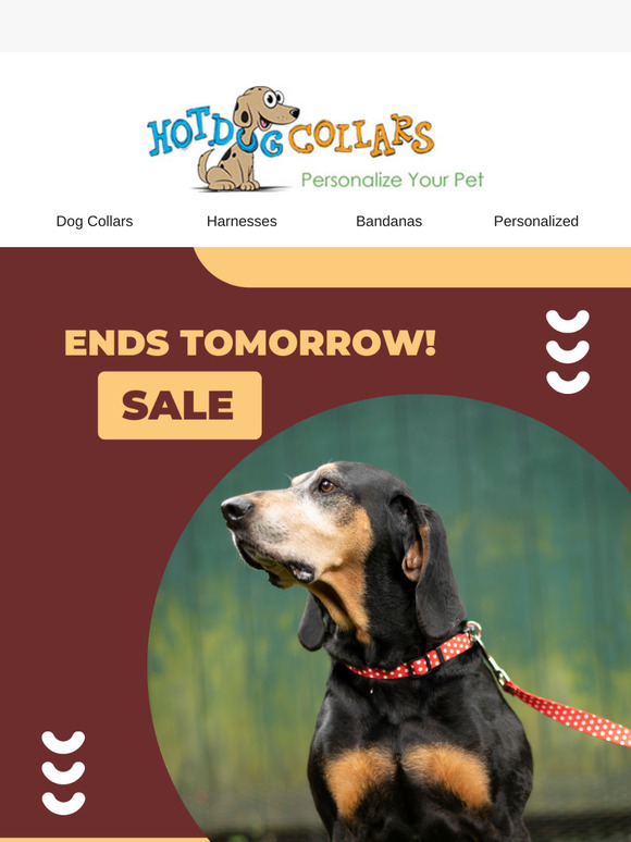 Hot Dog! Savings on Collars and Leashes ends tomorrow!