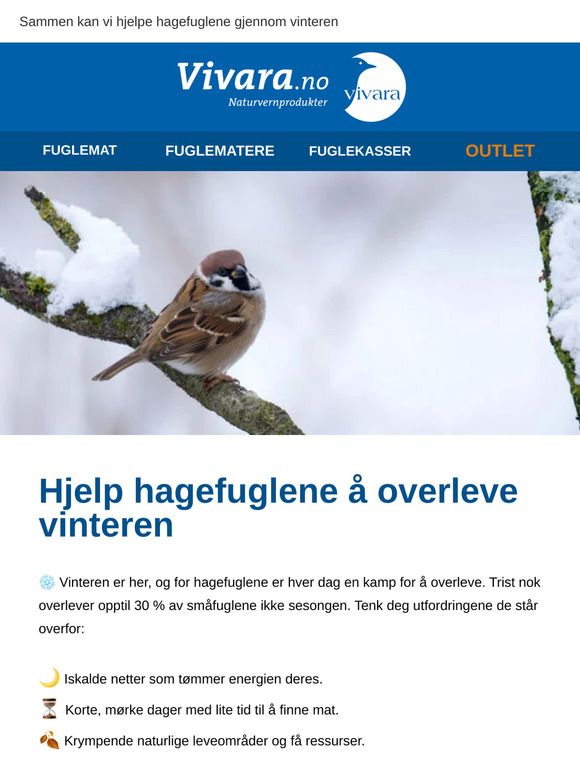 Viktig: Fuglene trenger din hjelp for å overleve kulden ❄️