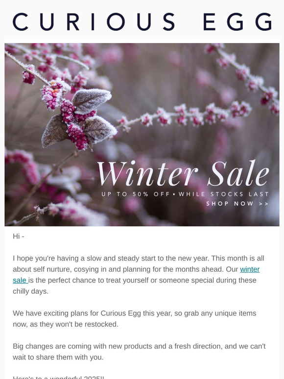 🎉 The Curious Egg Winter Sale is Here! 🎉